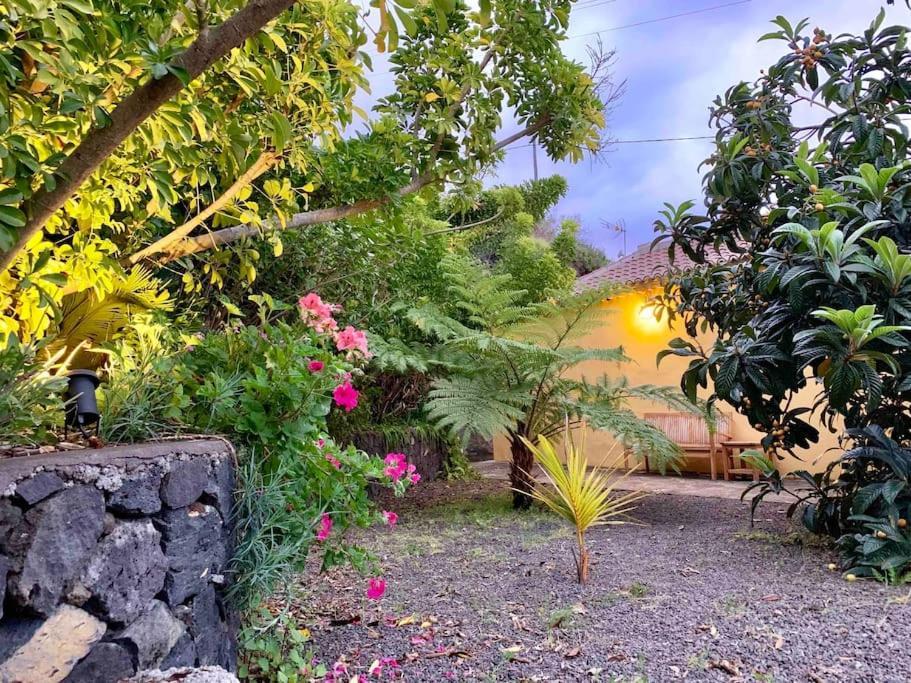 Rustic House La Montana Villa Breña Baja Dış mekan fotoğraf