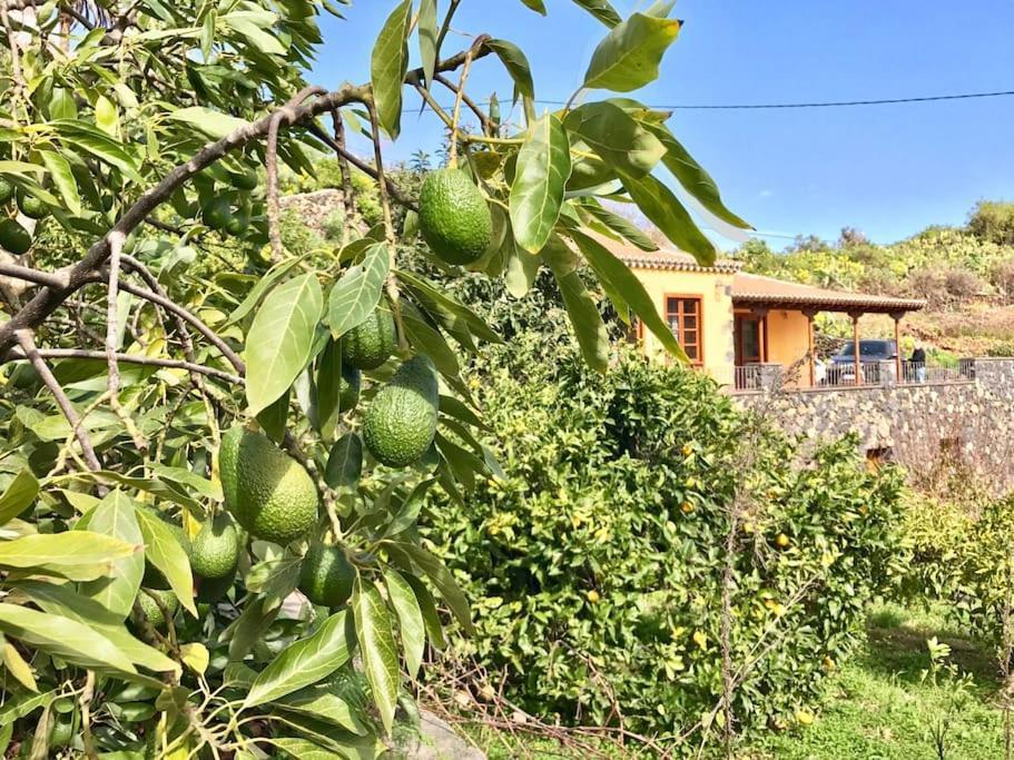 Rustic House La Montana Villa Breña Baja Dış mekan fotoğraf